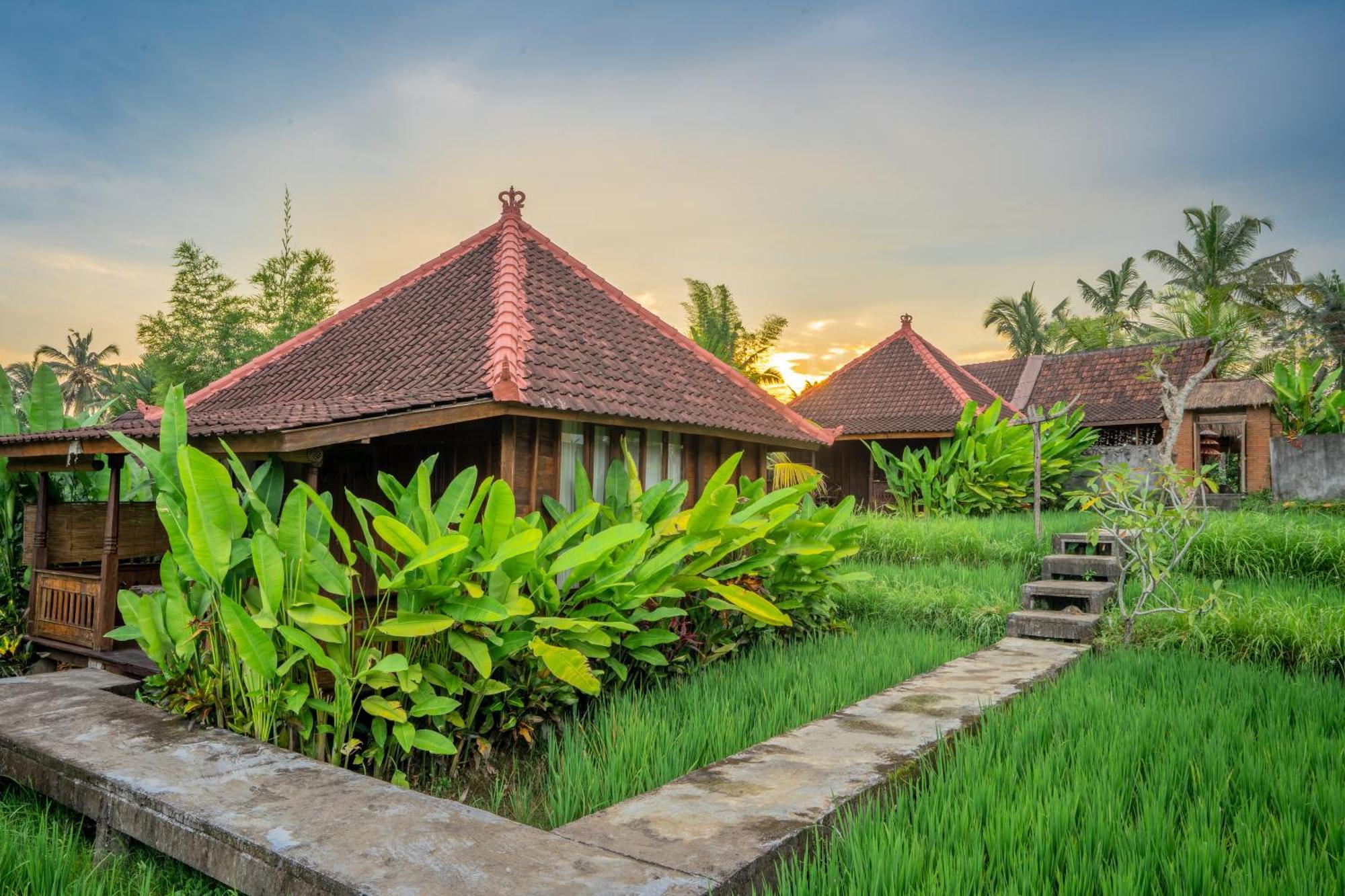 Ubud Sawah Scenery Villa And Homestay Tegallalang  Zewnętrze zdjęcie