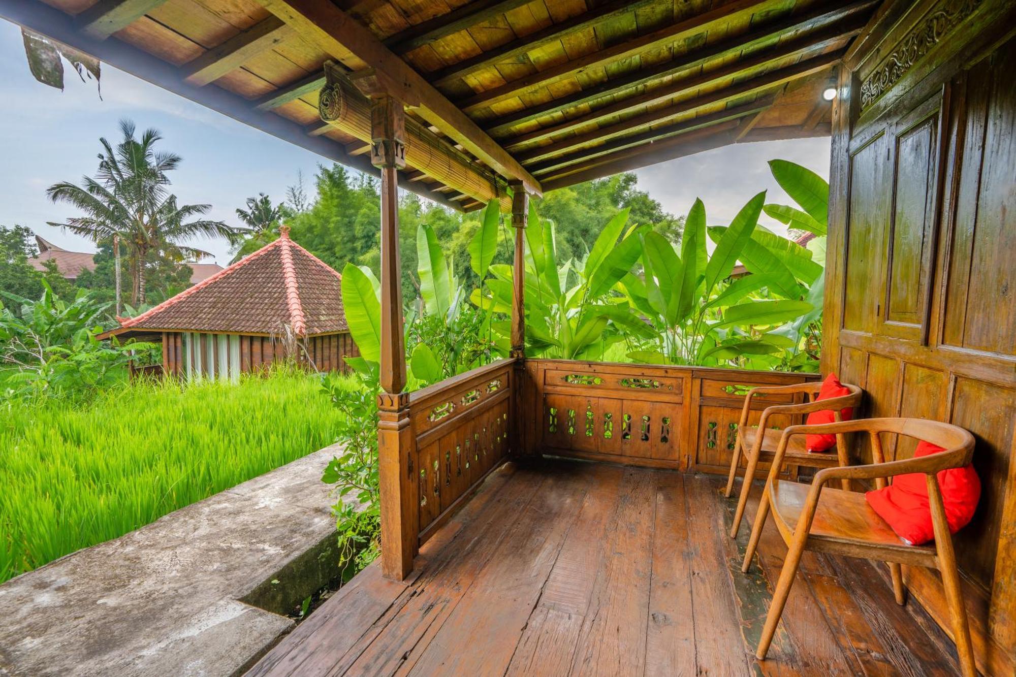 Ubud Sawah Scenery Villa And Homestay Tegallalang  Zewnętrze zdjęcie