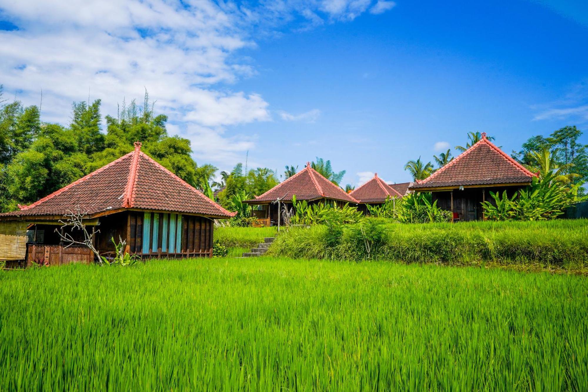 Ubud Sawah Scenery Villa And Homestay Tegallalang  Zewnętrze zdjęcie