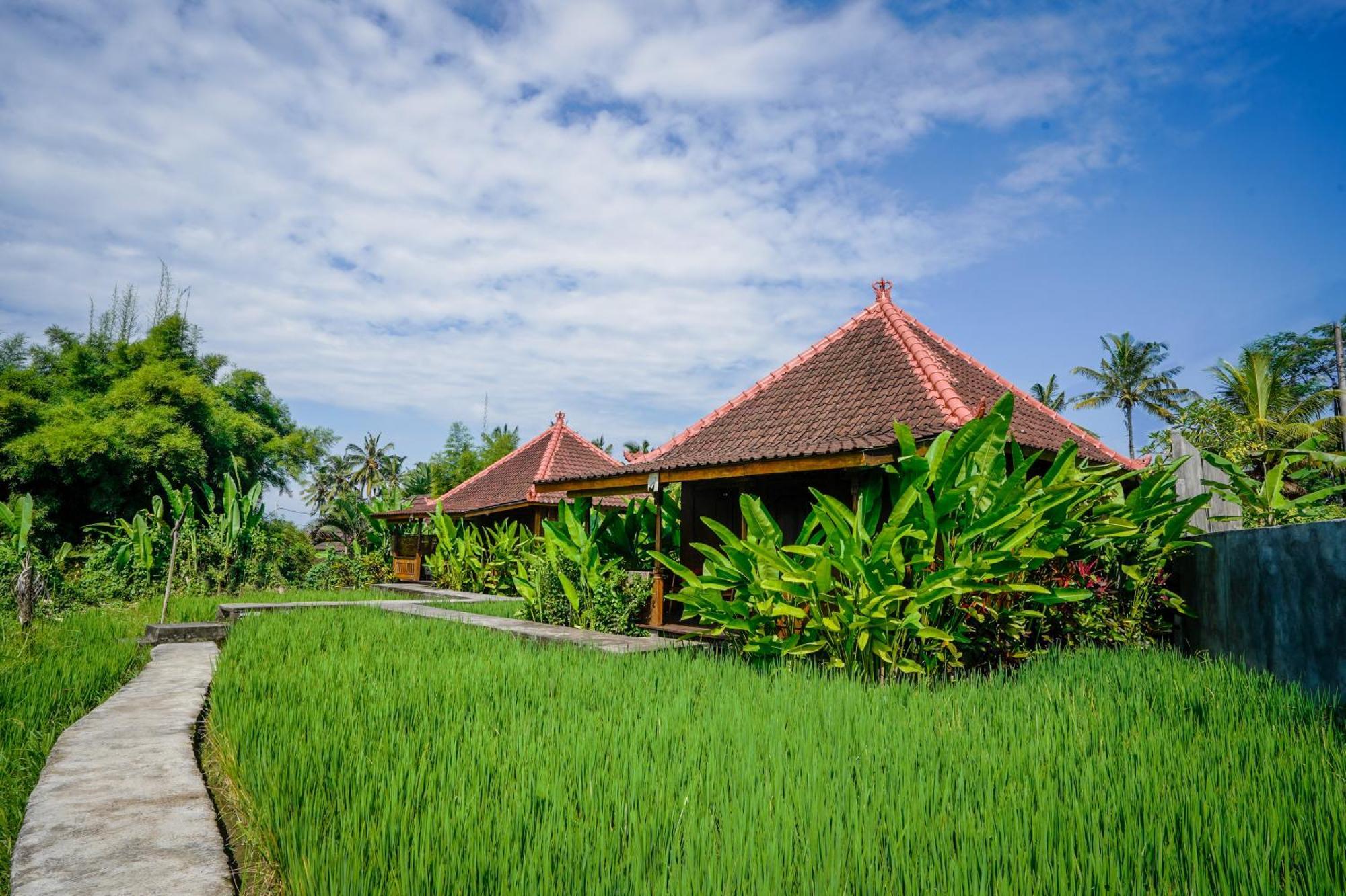 Ubud Sawah Scenery Villa And Homestay Tegallalang  Zewnętrze zdjęcie