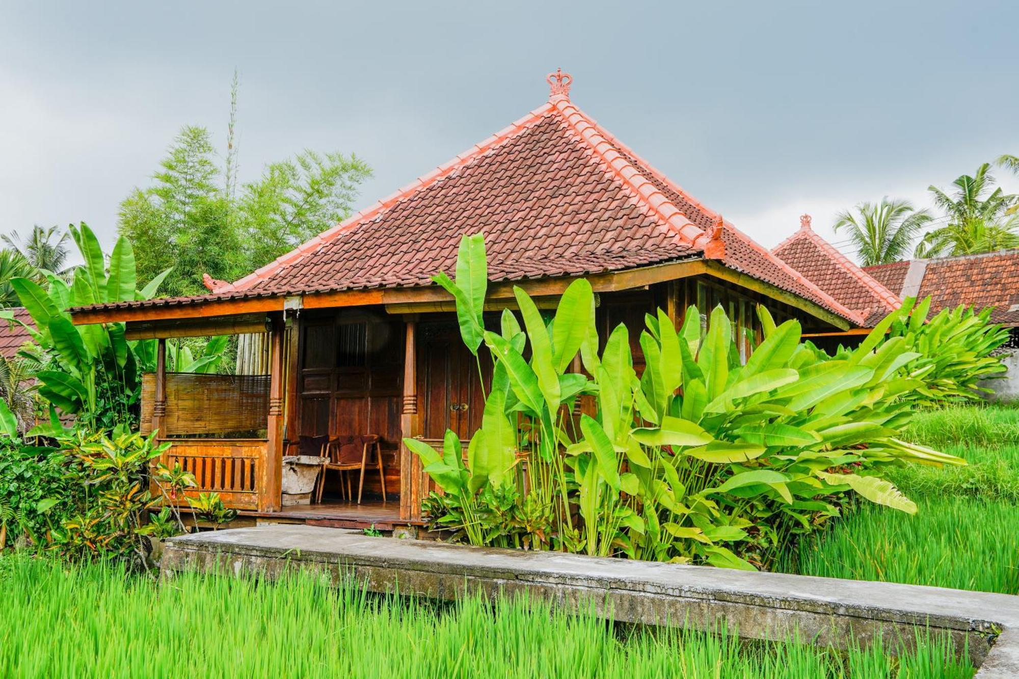Ubud Sawah Scenery Villa And Homestay Tegallalang  Zewnętrze zdjęcie