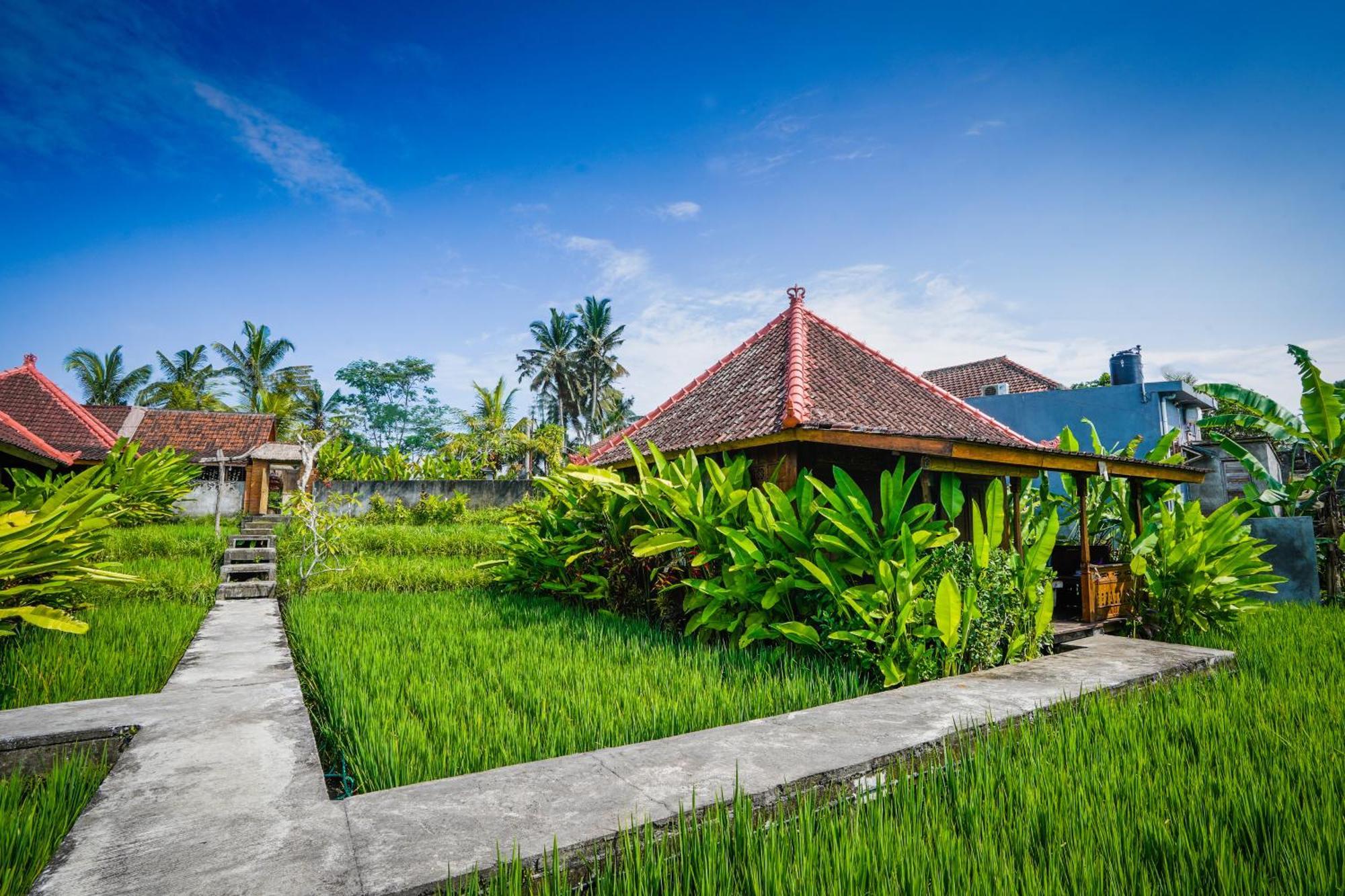 Ubud Sawah Scenery Villa And Homestay Tegallalang  Zewnętrze zdjęcie