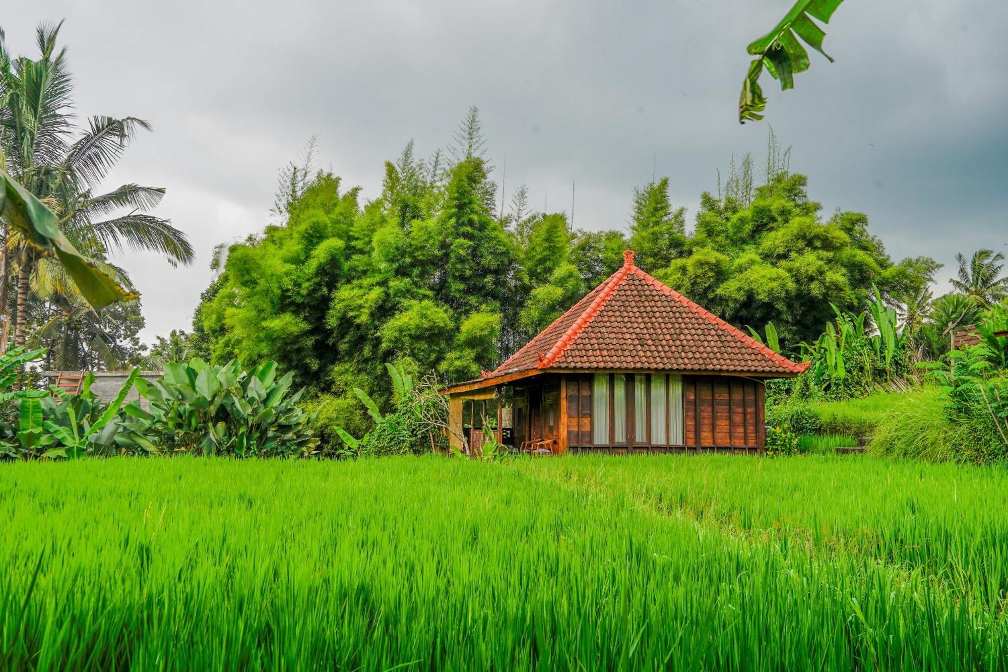 Ubud Sawah Scenery Villa And Homestay Tegallalang  Zewnętrze zdjęcie