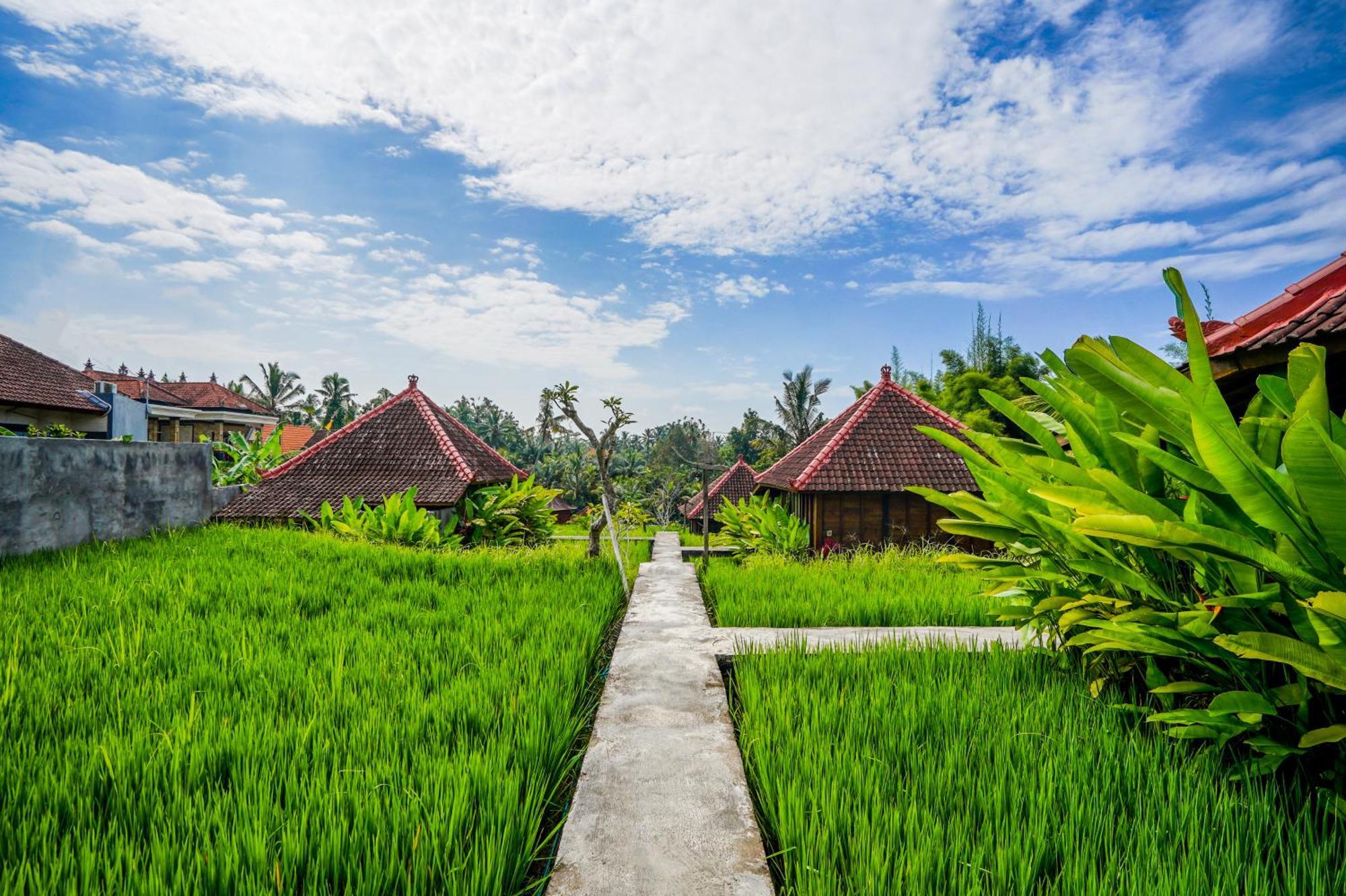 Ubud Sawah Scenery Villa And Homestay Tegallalang  Zewnętrze zdjęcie
