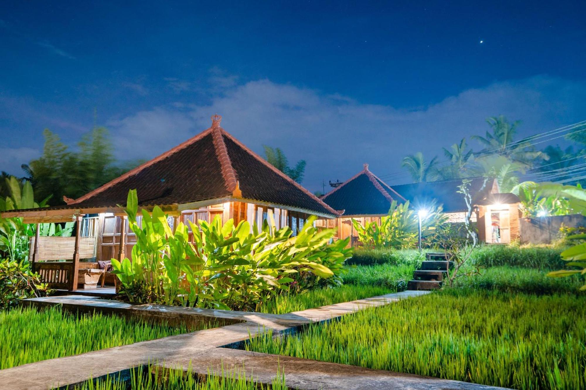 Ubud Sawah Scenery Villa And Homestay Tegallalang  Zewnętrze zdjęcie